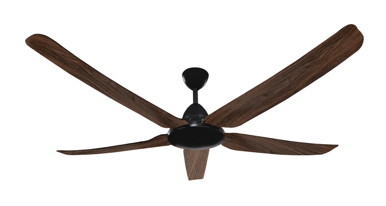AIRLY565 DW