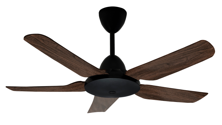 Airly405 DW