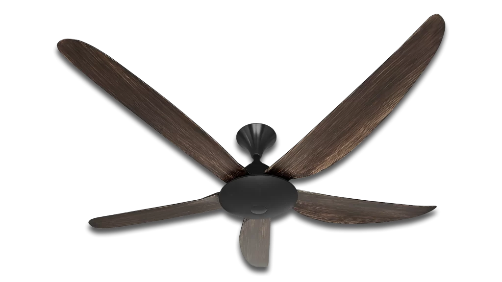 MY565BDW_1920x1080_transparent