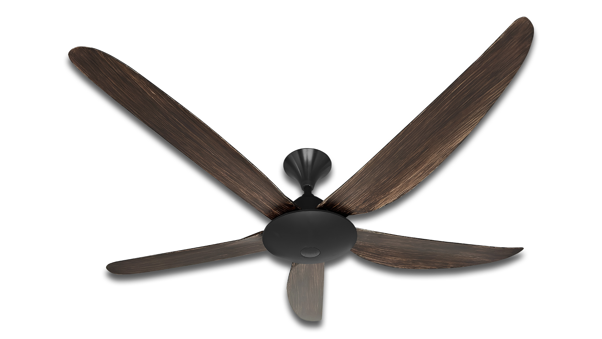 MY565BDW_1920x1080_transparent