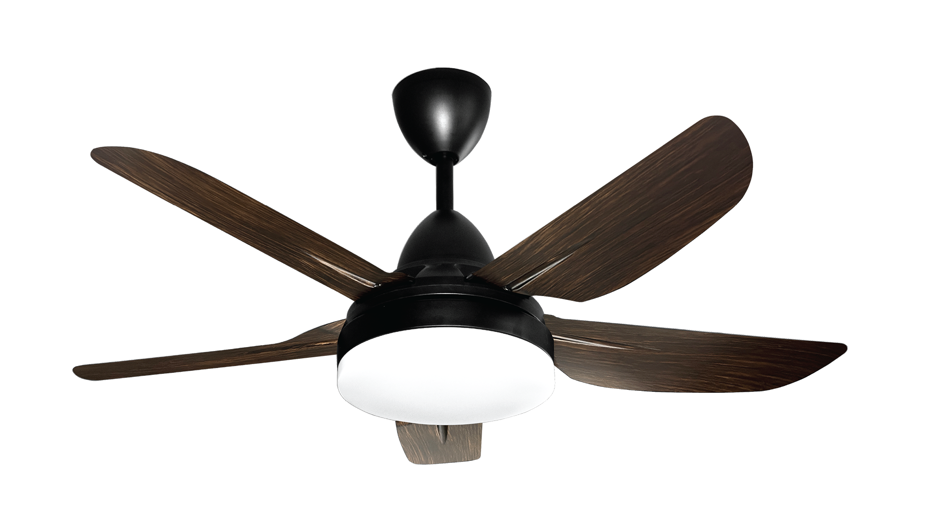 Epic425 LED DW 1920×1080