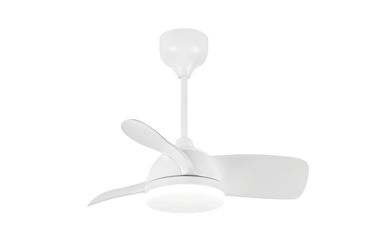 MICA 30 LED MW