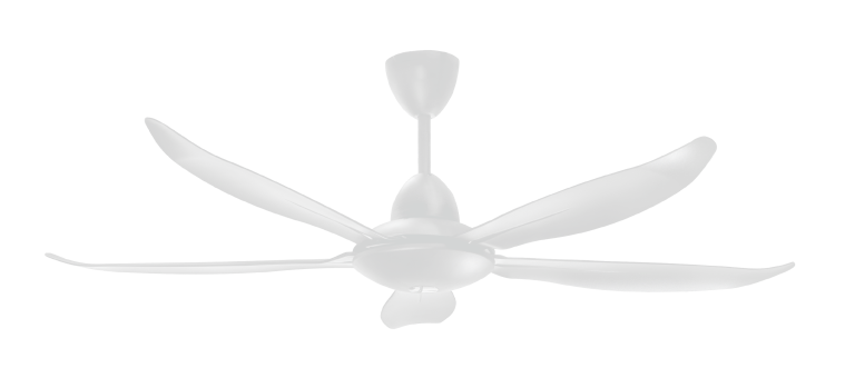 Noble565 MW