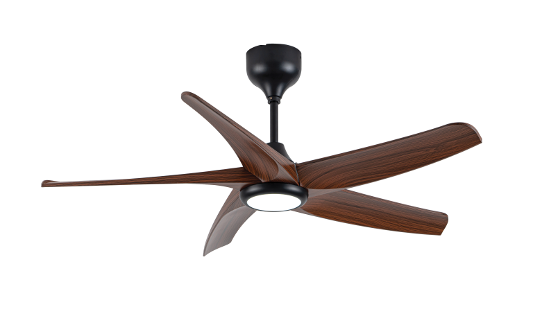 ROMA46 LED DW