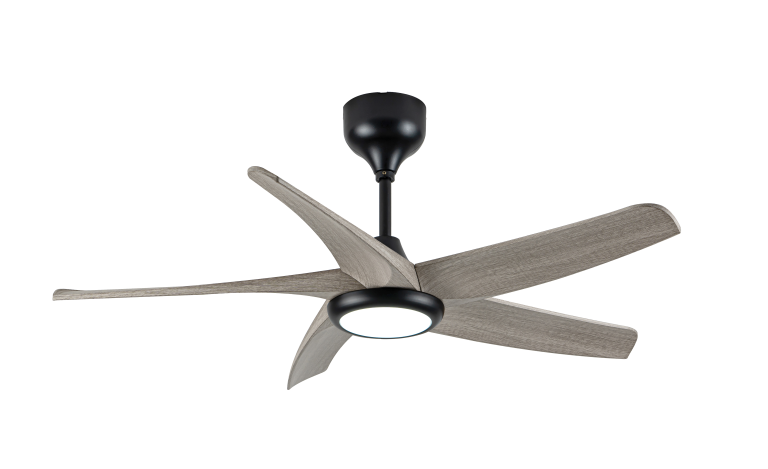ROMA60 LED GO