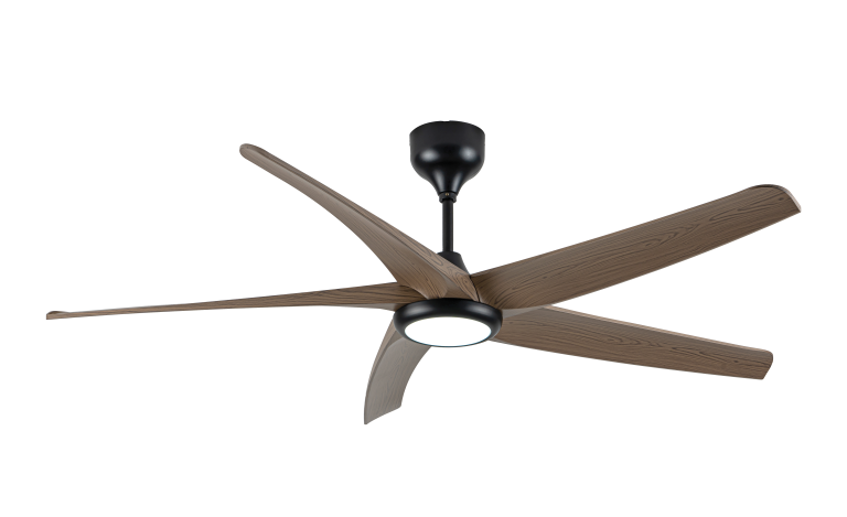 ROMA60 LED WN