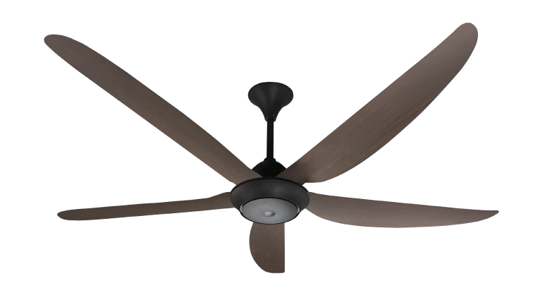 AX64DC DW