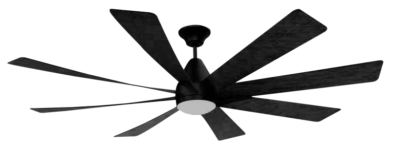 Cyclone 72 MB