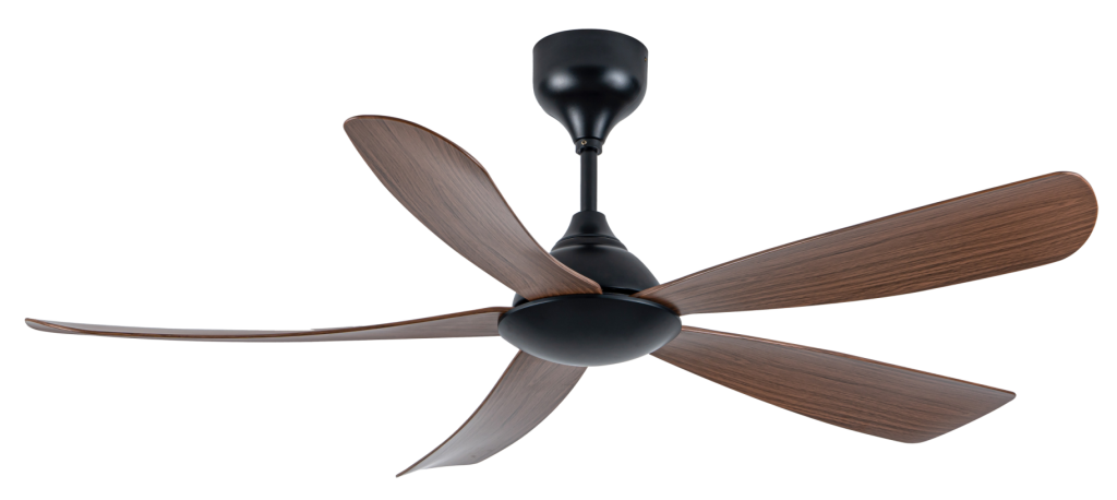 epsom54 dw
