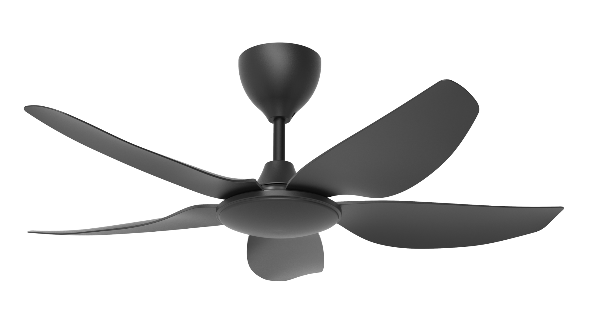 Fans - Rezo