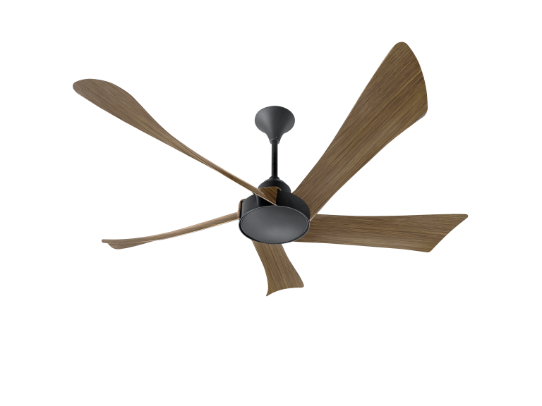 NOMAD56 DW