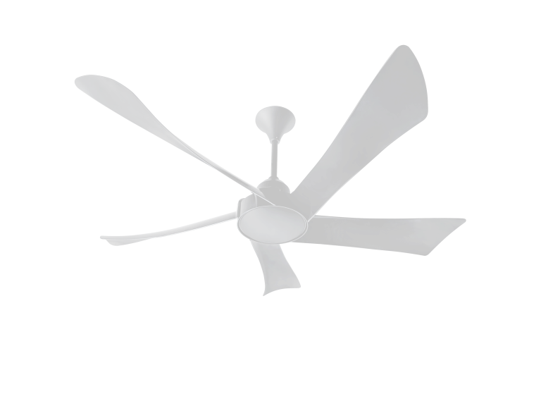 NOMAD56 MW
