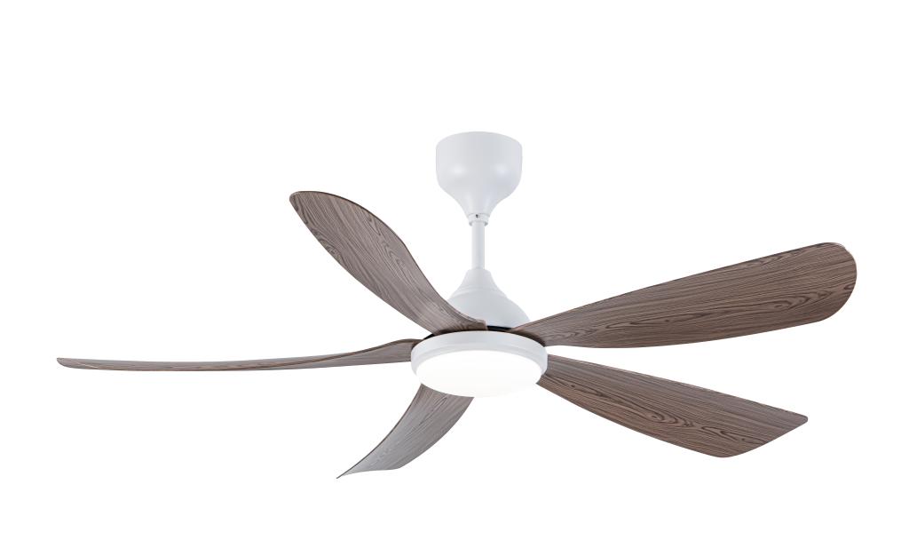 Epsom54 led wn